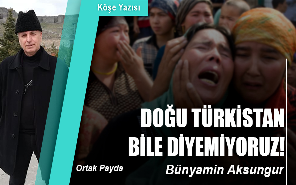 7839531dogu turkistan bile diyemiyorum.jpg